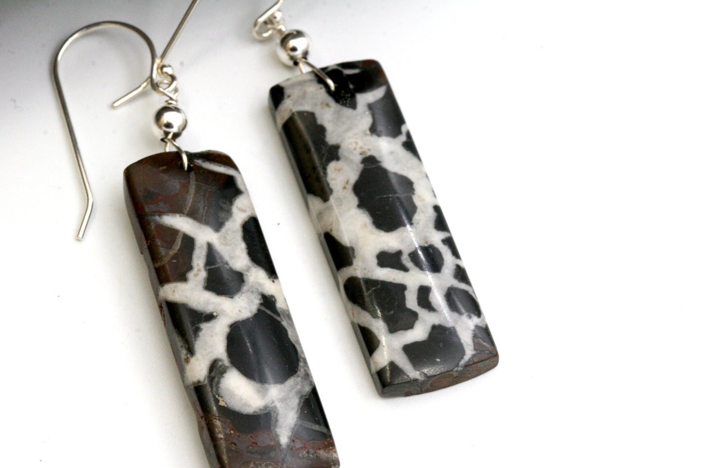 Natural Septarian Fossil Earrings, Black and White Stone