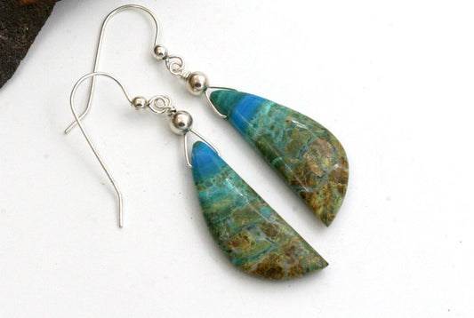Blue Opal Petrified Wood Earrings