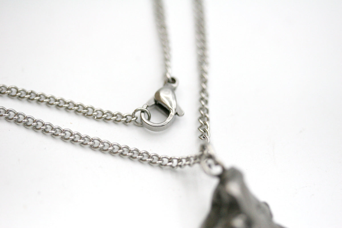 Aletai Iron Meteorite Pendant Necklace