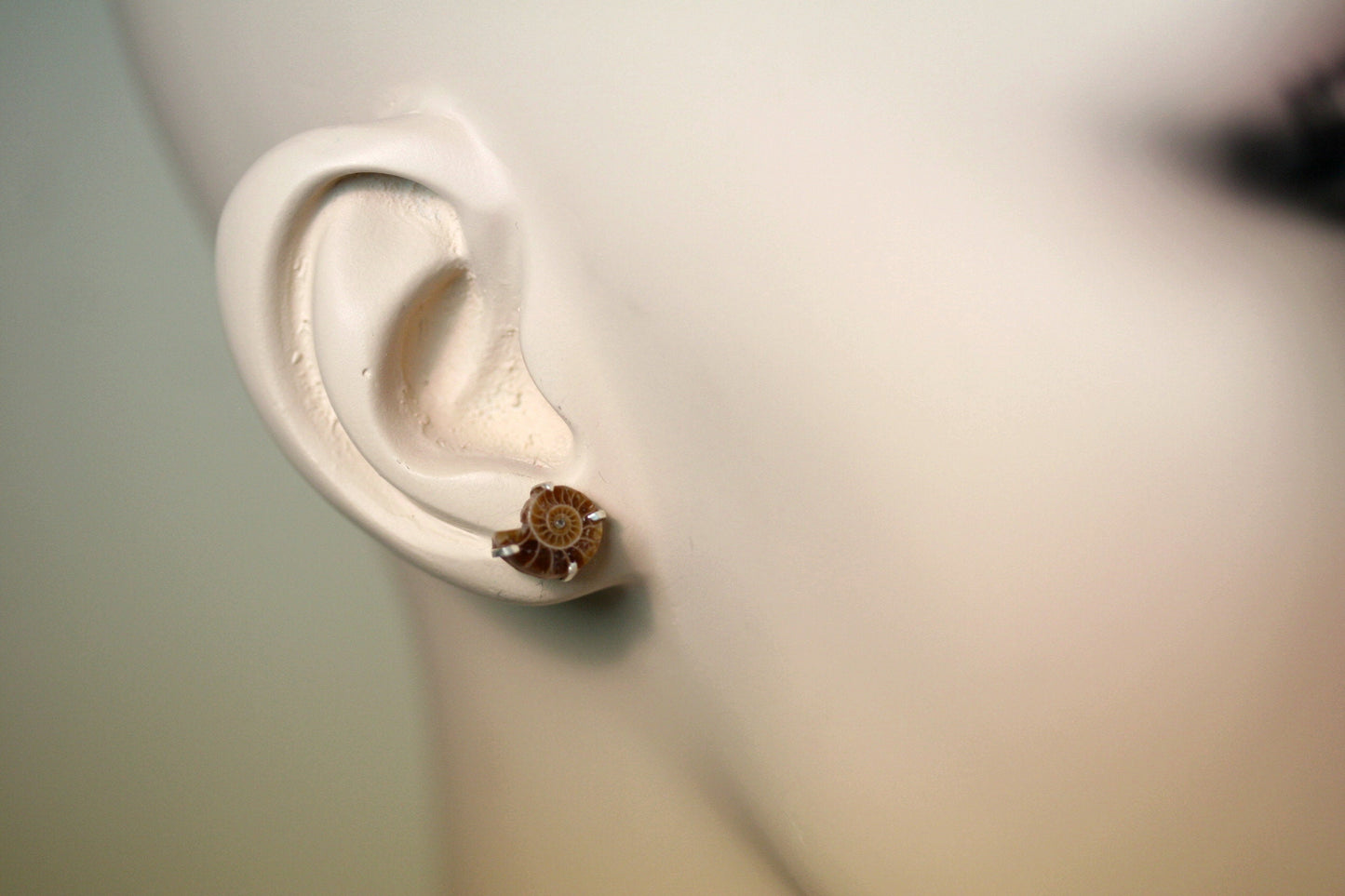 Ammonite Stud Earrings