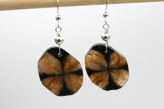 Chiastolite Gemstone Earrings