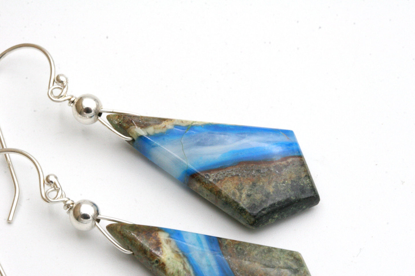 Blue Opal in Petrified Wood Sterling Silver Earrings