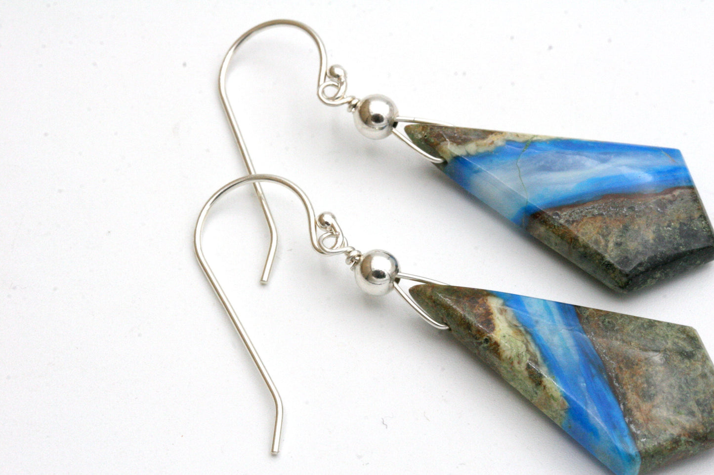 Blue Opal in Petrified Wood Sterling Silver Earrings